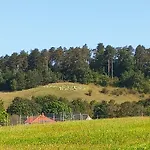 Gæstehus Borostyankut Wellness 4*