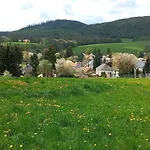 Borostyankut Wellness 4*