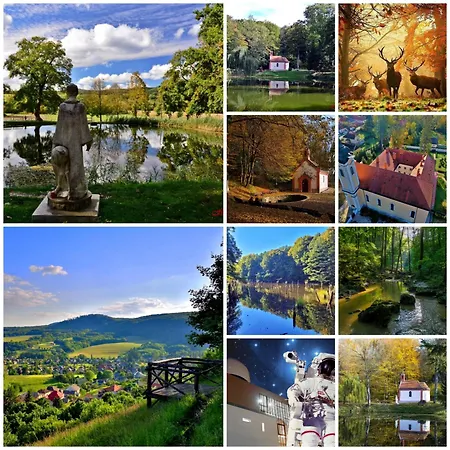 Borostyankut Wellness Πανσιόν Bakonybél