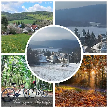 Pensiune Borostyankut Wellness Bakonybél