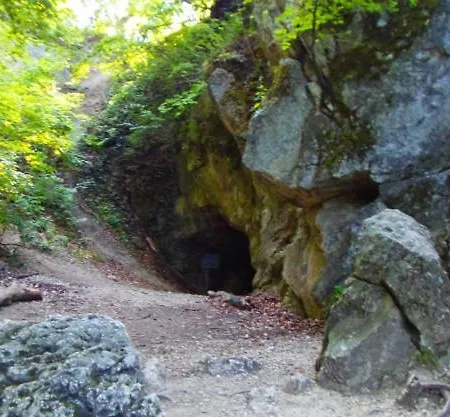 Πανσιόν Borostyankut Wellness 4*