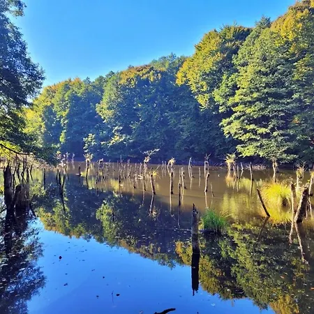 Πανσιόν Borostyankut Wellness 4*