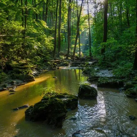 Πανσιόν Borostyankut Wellness Bakonybél