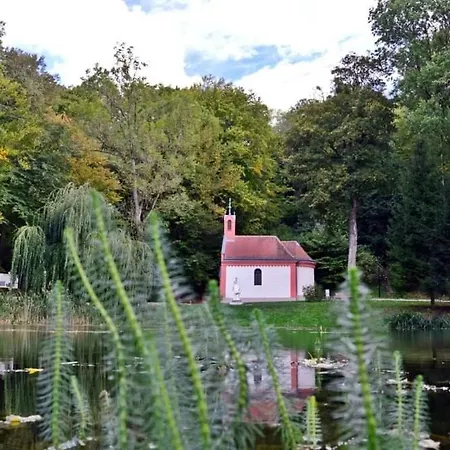 Πανσιόν Borostyankut Wellness Bakonybél