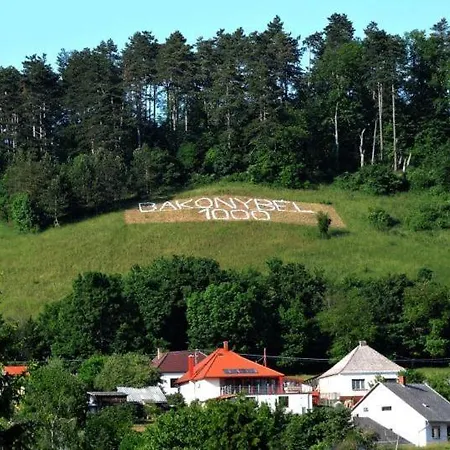 Πανσιόν Borostyankut Wellness Bakonybél