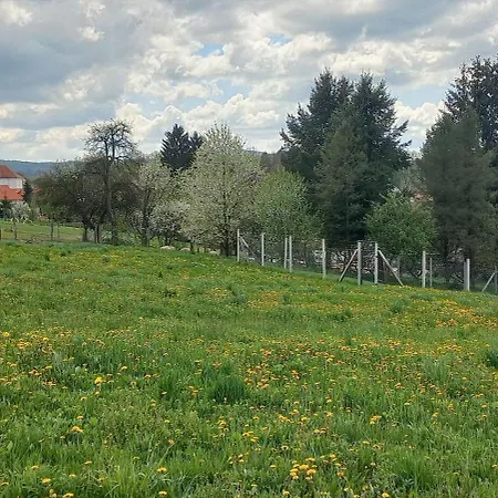 Borostyankut Wellness Πανσιόν 4*