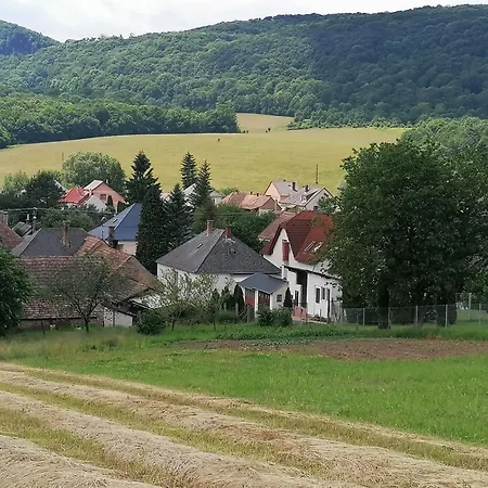 Borostyankut Wellness Πανσιόν Bakonybél