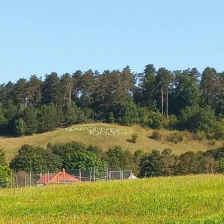 Πανσιόν Borostyankut Wellness 4*