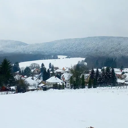 Borostyankut Wellness Πανσιόν