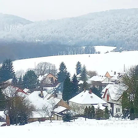 Borostyankut Wellness Vendégház *