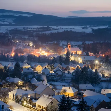 Πανσιόν Borostyankut Wellness 4*