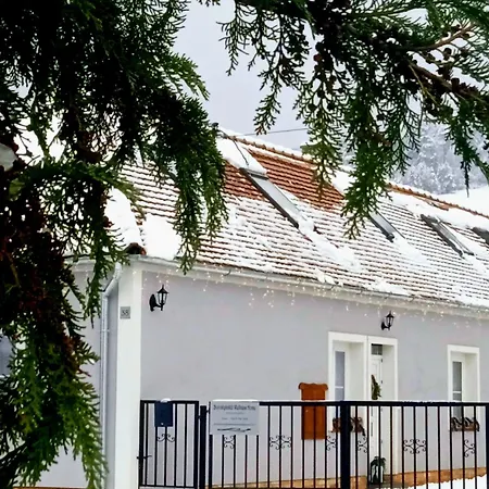 Borostyankut Wellness Πανσιόν Bakonybél