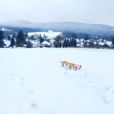 Borostyankut Wellness 4* Bakonybél