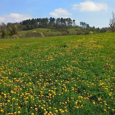 Borostyankut Wellness Πανσιόν