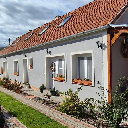 Borostyankut Wellness