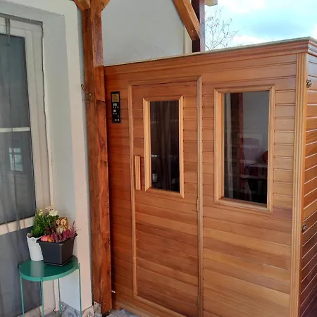 Borostyankut Wellness Guest house *