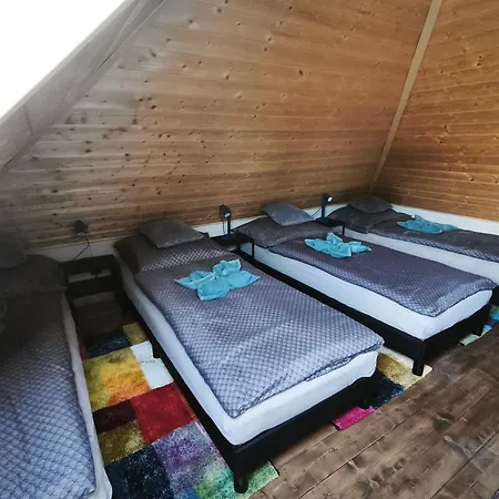 Borostyankut Wellness Guest house