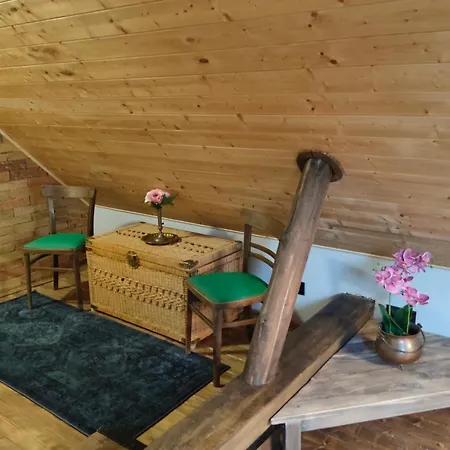 Borostyankut Wellness Guest house