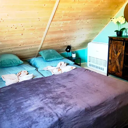 Borostyankut Wellness Guest house