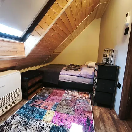 Borostyankut Wellness Guest house