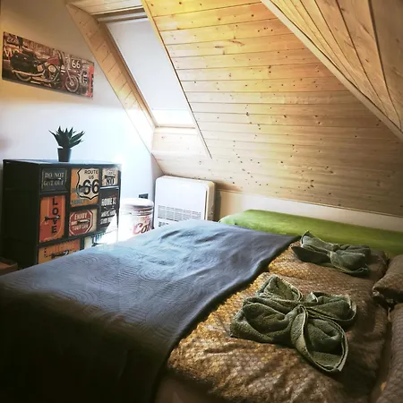 Borostyankut Wellness Guest house