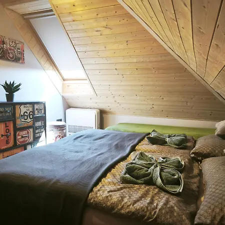 Borostyankut Wellness *