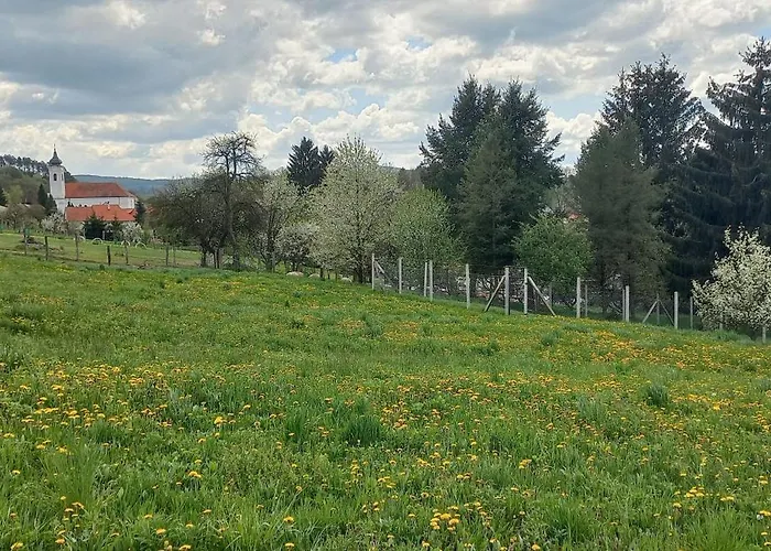 Borostyánkút Wellness Vendégház 4*