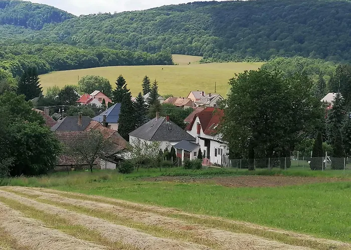 Borostyánkút Wellness Vendégház Bakonybél