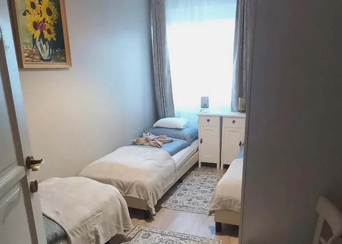 Borostyankut Wellness