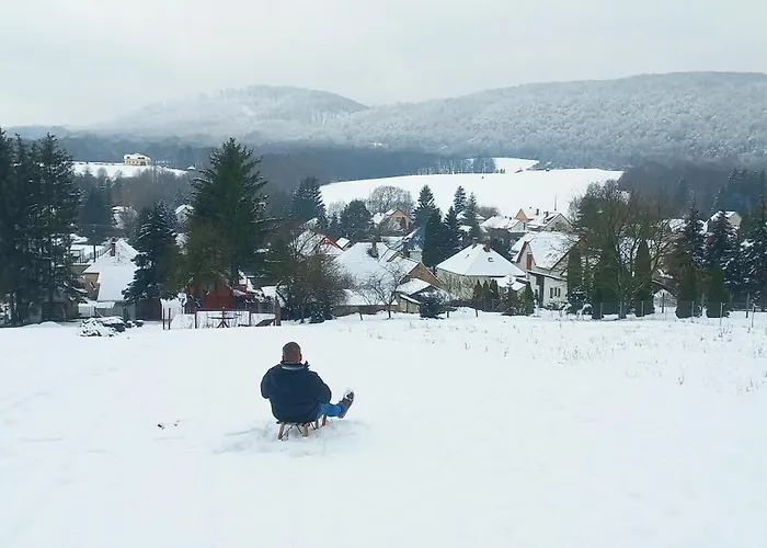 Borostyankut Wellness