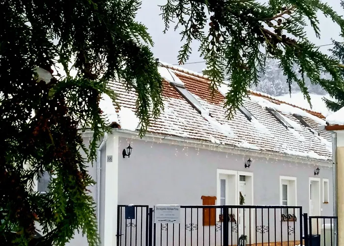 Borostyankut Wellness Gasthuis Bakonybél