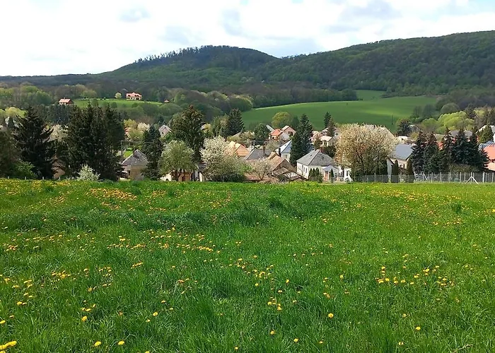 Borostyankut Wellness 4*