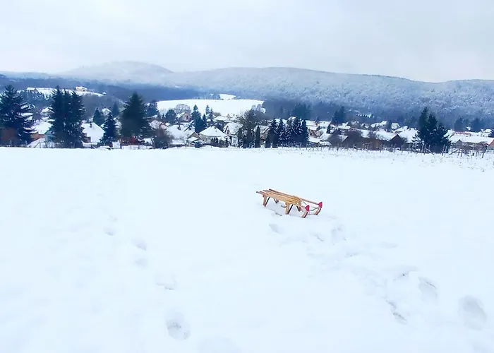 Borostyankut Wellness 4* Bakonybél