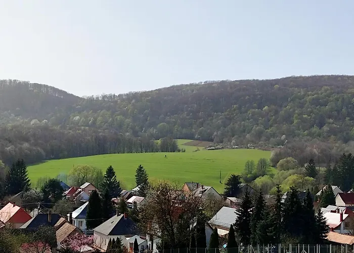 Borostyankut Wellness Gasthuis Bakonybél